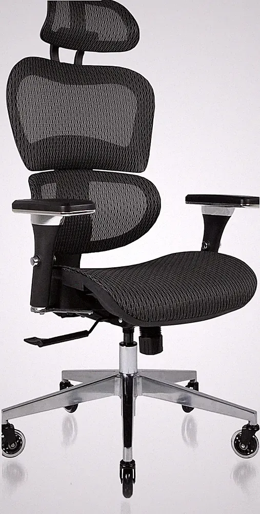 Ergonomic High Back Mesh Office Chair with Lumbar Support & 4D Arms